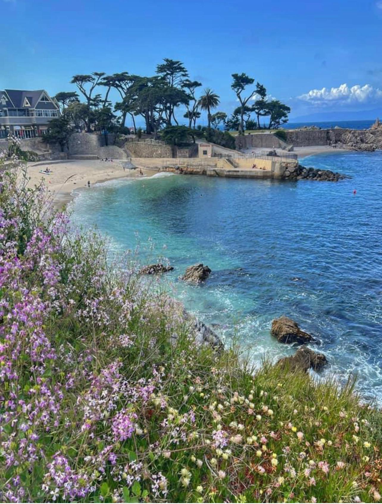 Ocean view from The Jewell of Pacific Grove